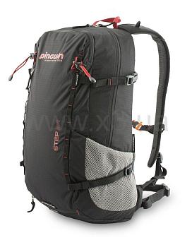 PINGUIN Step 24 2020