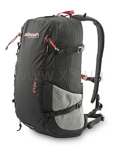 PINGUIN Step 24 2020