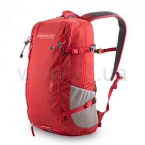 PINGUIN Step 10 2020