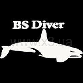 BS DIVER Отбортовка латексная для карбоновых и стеклопластиковых ласт (комплект 4 шт)