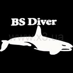 BS DIVER Сервис-комплект для первой ступени регулятора "OCEAN"