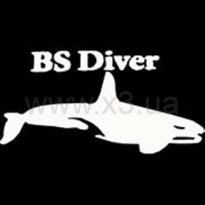 BS DIVER Сервис-комплект для первой ступени регулятора "OCEAN"